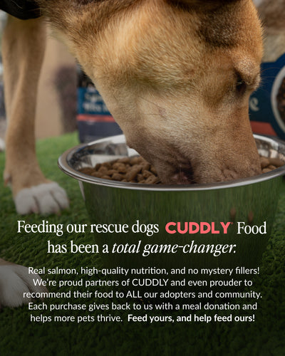 CUDDLY Salmon & Rice Dry Dog Food, 40lb